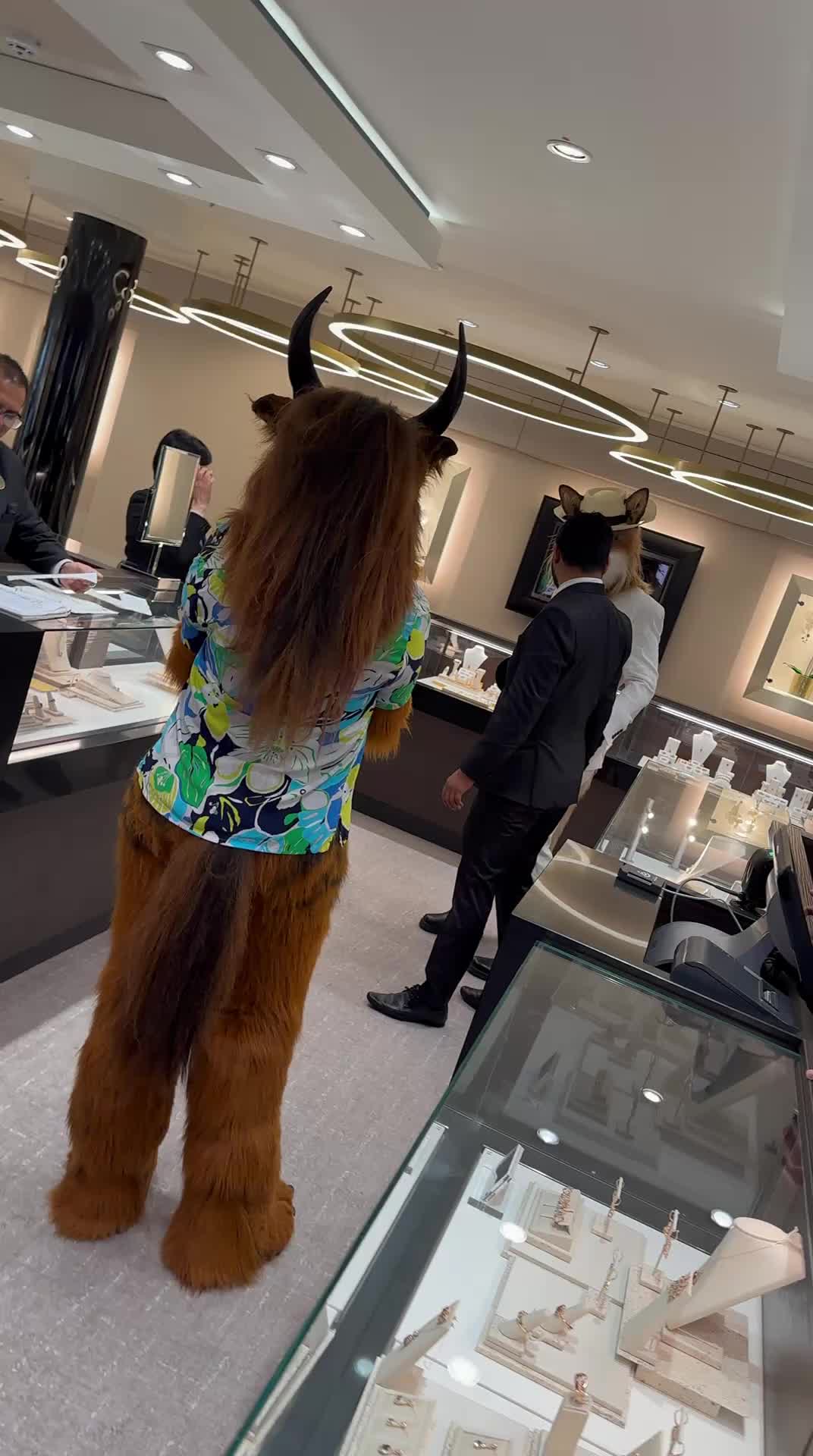 @Shangfudog