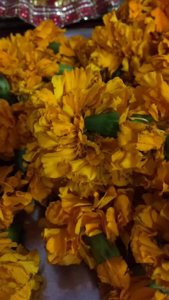 @Ankita Nautiyal