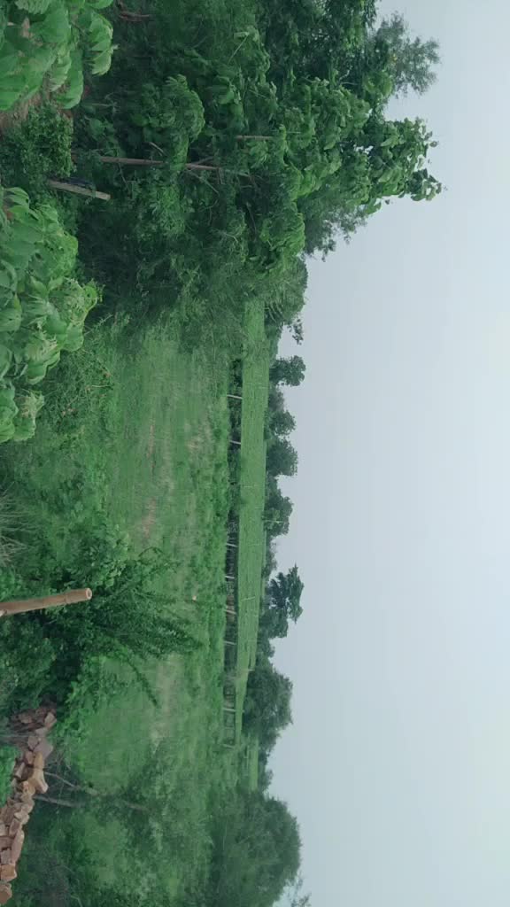 @Domendra Verma