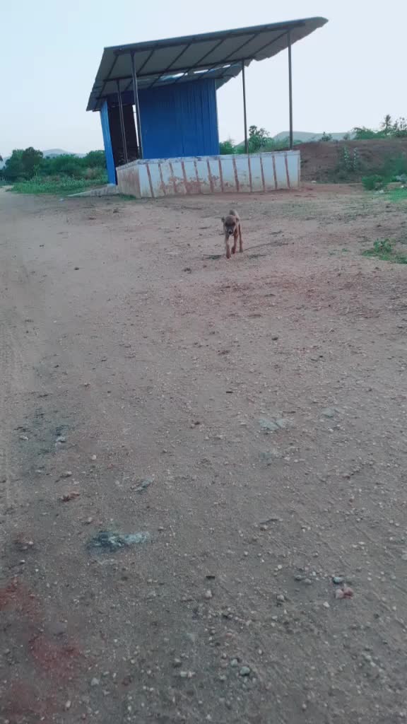 @hariharan68764586285
