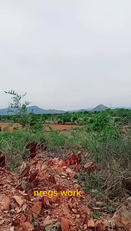 @raddhakrishnam@naidu