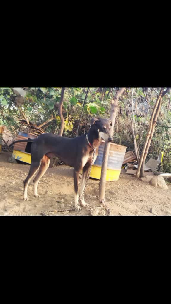 @Silambu Valli