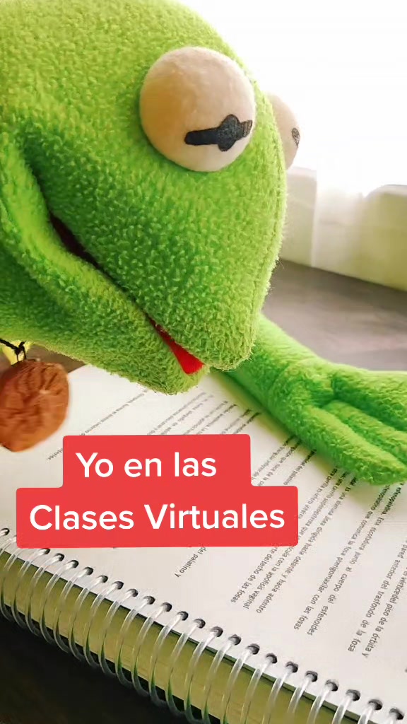 @RanitaAlva🐸