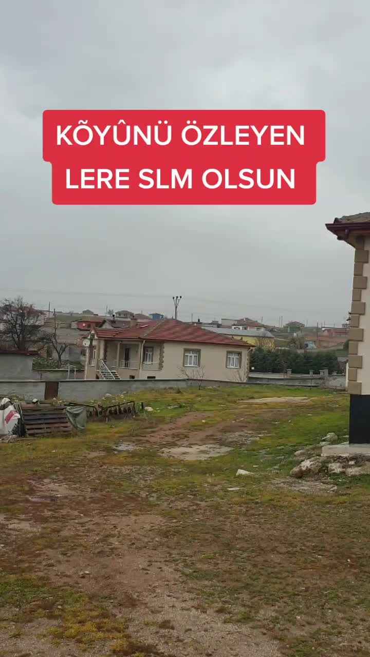 @ÖZ BOYALI DÖNER