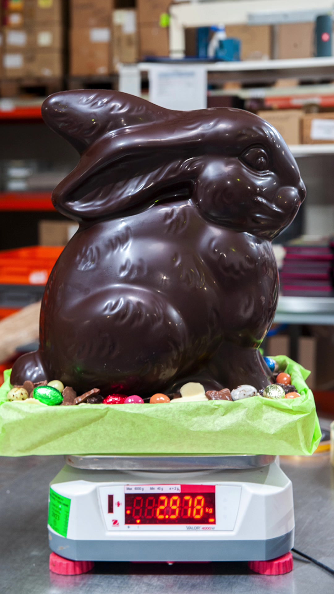 @Chocolaterie Castelain
