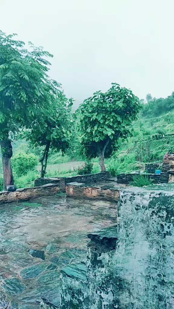@nitikaarya 701