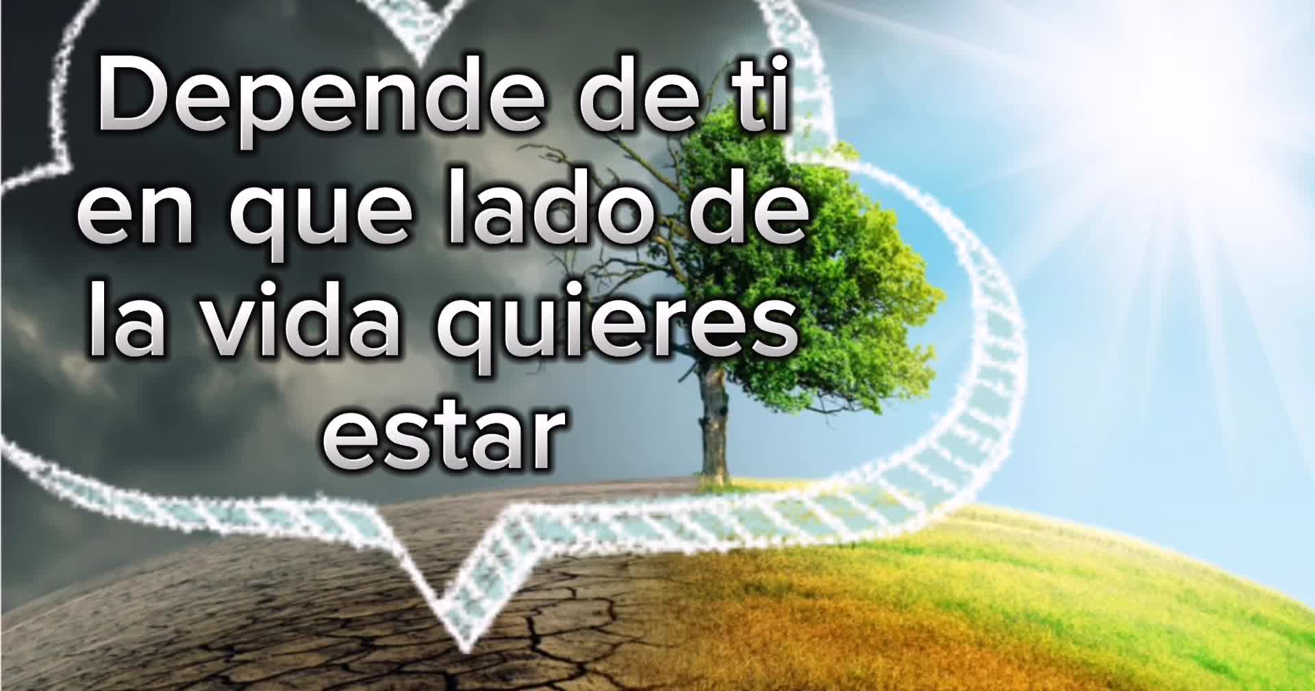 @CRIADERO BETA