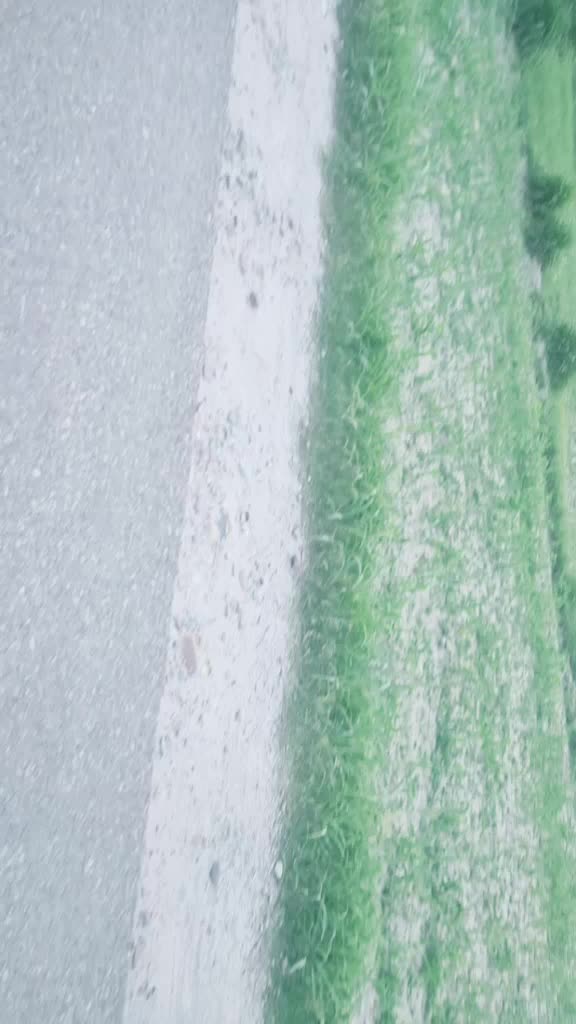 @Neha Sumit Kumar