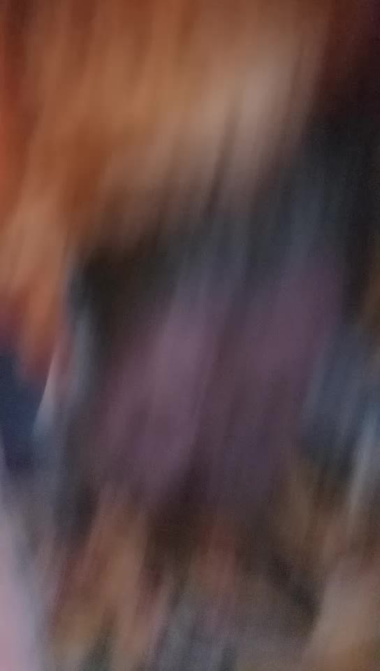 @rahulmandal