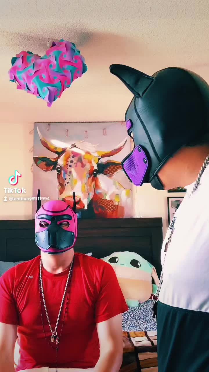@pup_fenrir