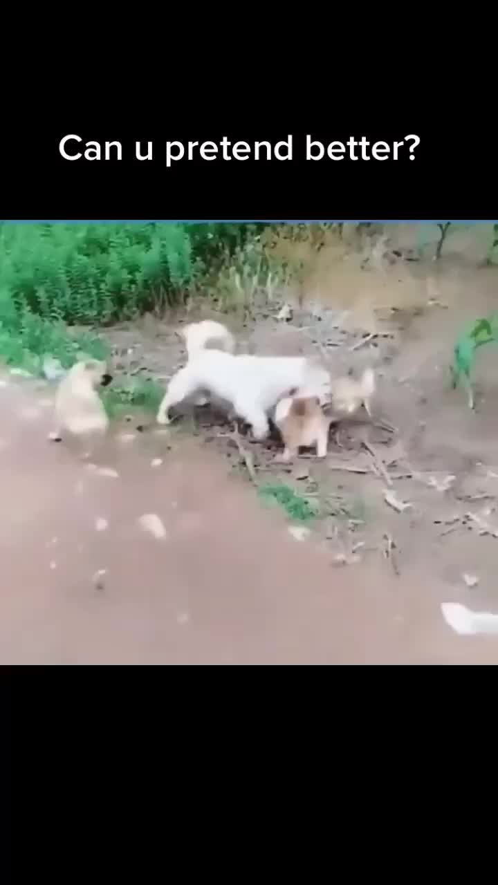 @uijh04