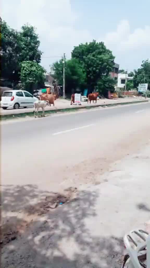 @vijaybheabharvad