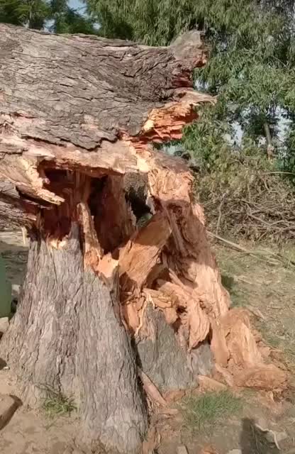 @Afsanali