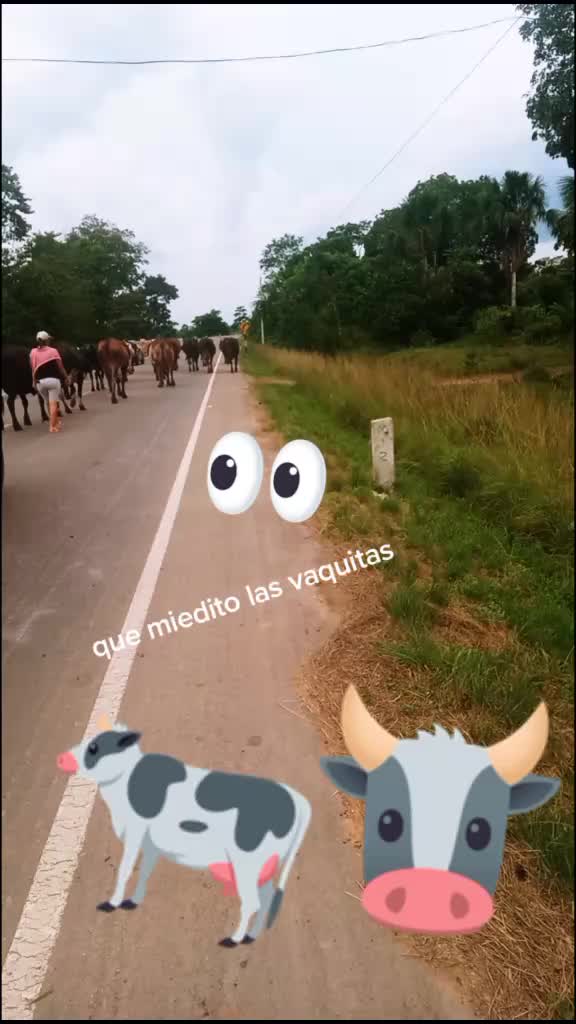 @isabel cueva naro