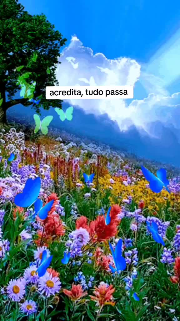 @Cicida Mineira✔️