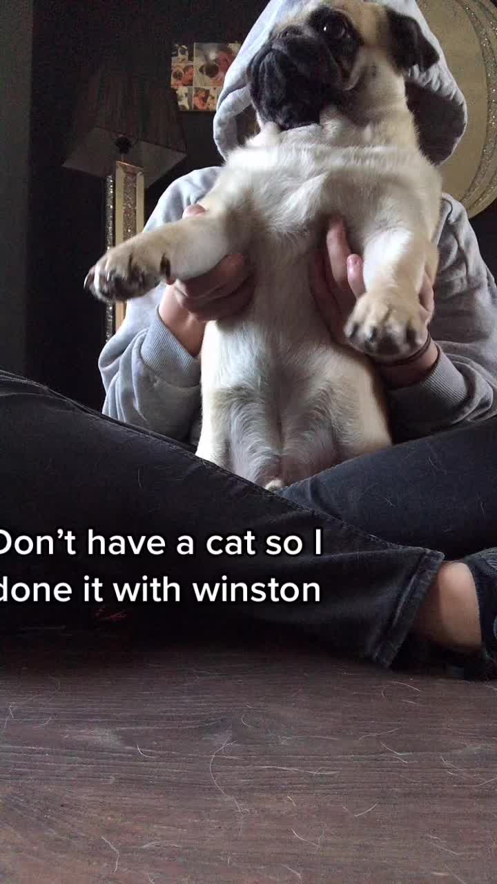 @Winston