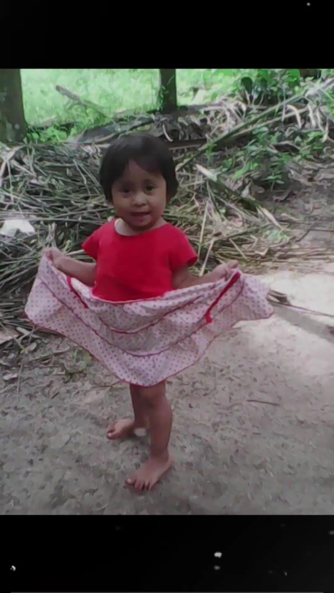 @borneo5379017718526