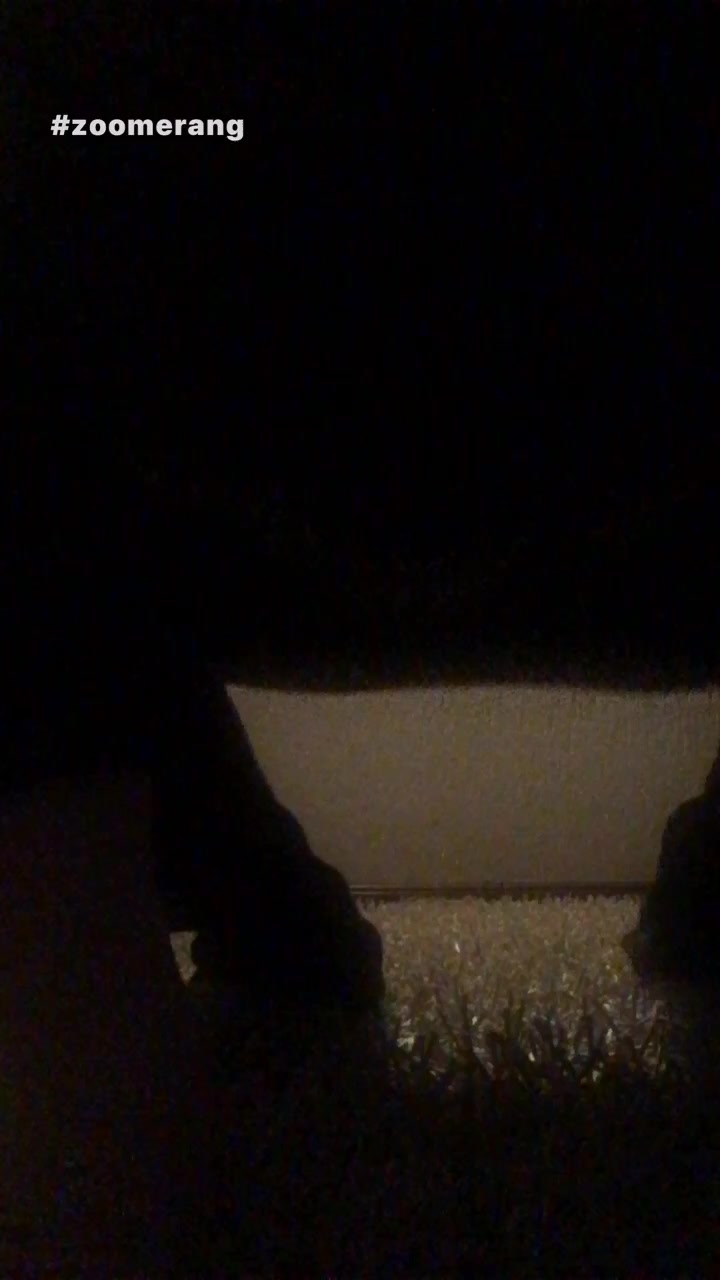 @Reginaribeiroofc