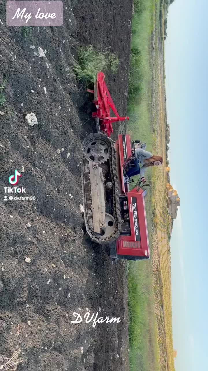 @DV.farm96