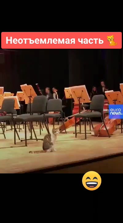 @Udgin