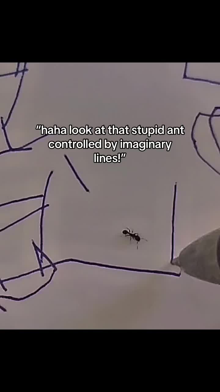 @asapkinger