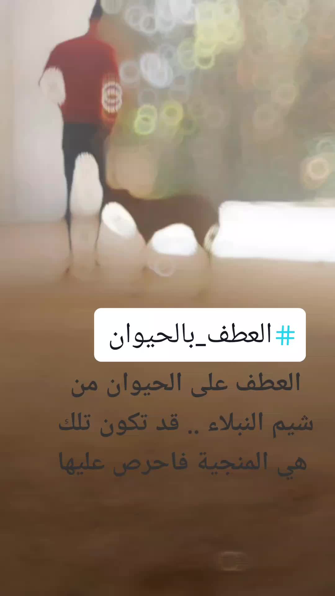 @Mustafa Osama