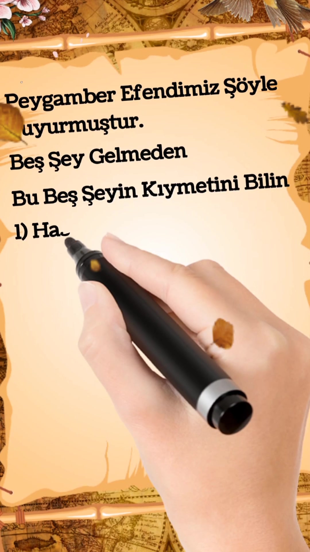 @kelebeğin d&uuml;nyası