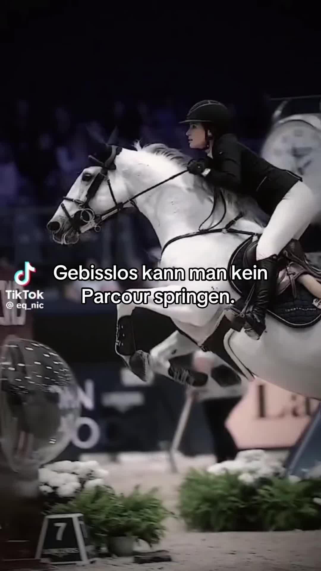 @show.jumper_speedy