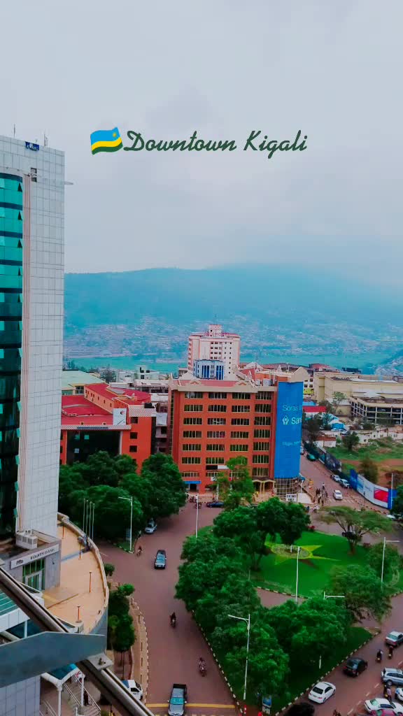 @H A R O L D 🇨🇲