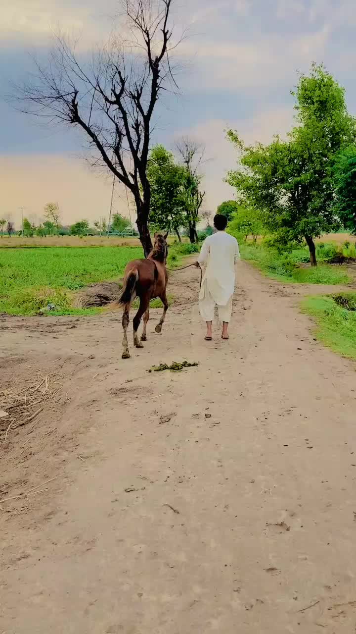 @mhar sabh 190