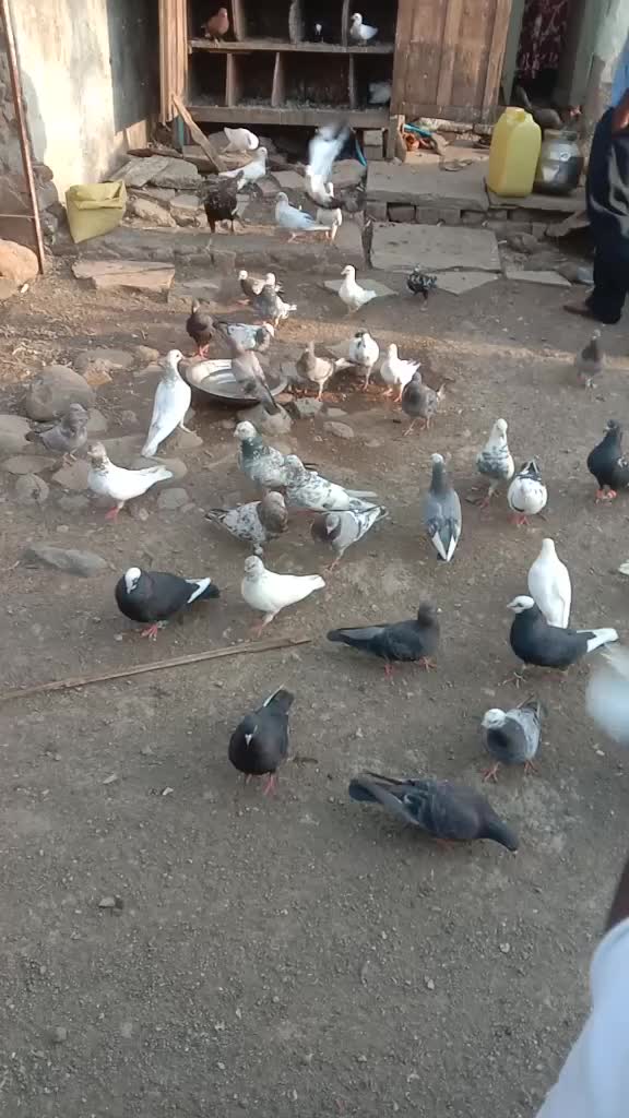@&Agrave;rM&auml;&ntilde; kh&aring;&ntilde;