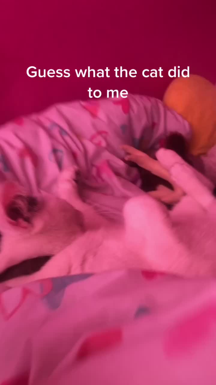 @Charli damelio
