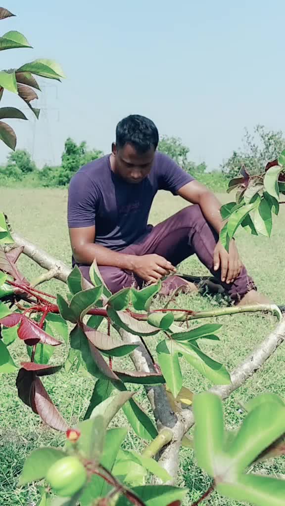 @Papun Mohanty