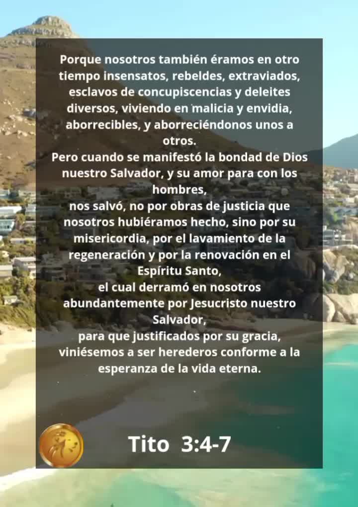 @Vicayquipa