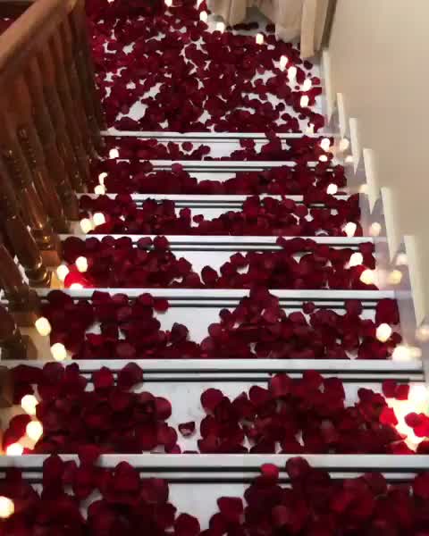 @Youkabed _latif🇦🇪
