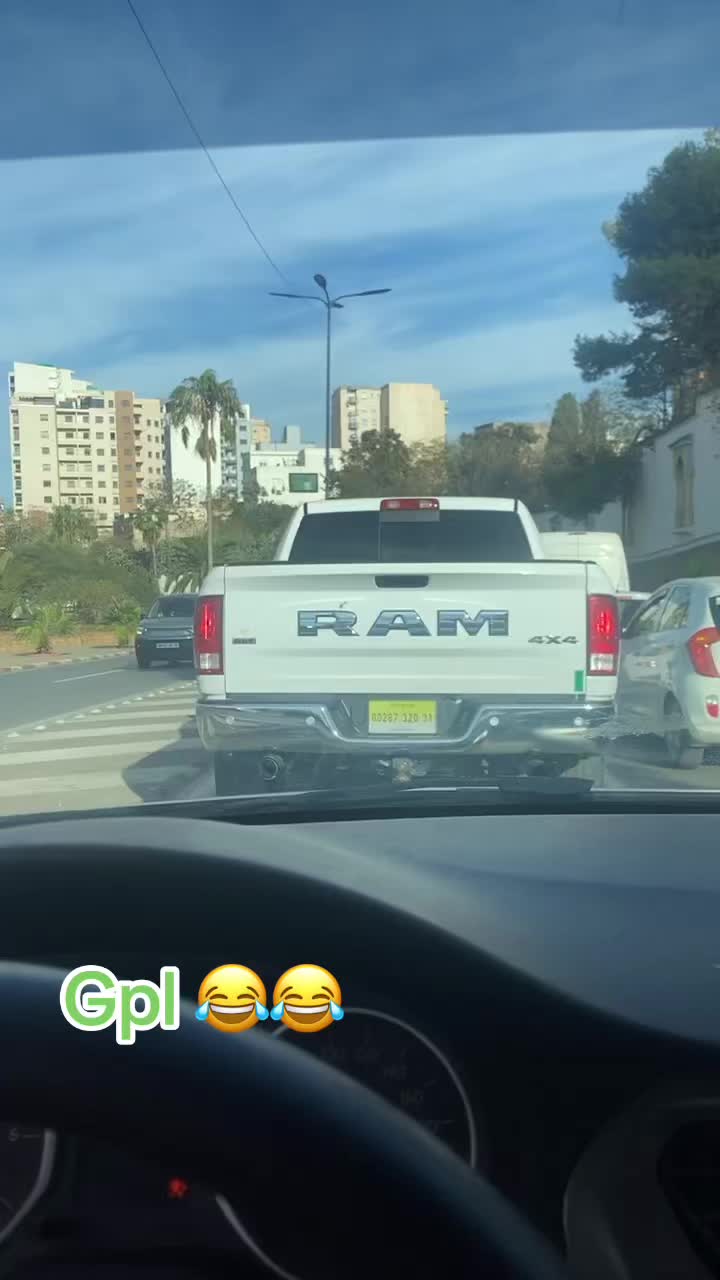@Sipinico🦑