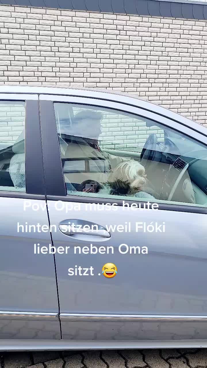 @12Pfoten&die Fellnasenmanager