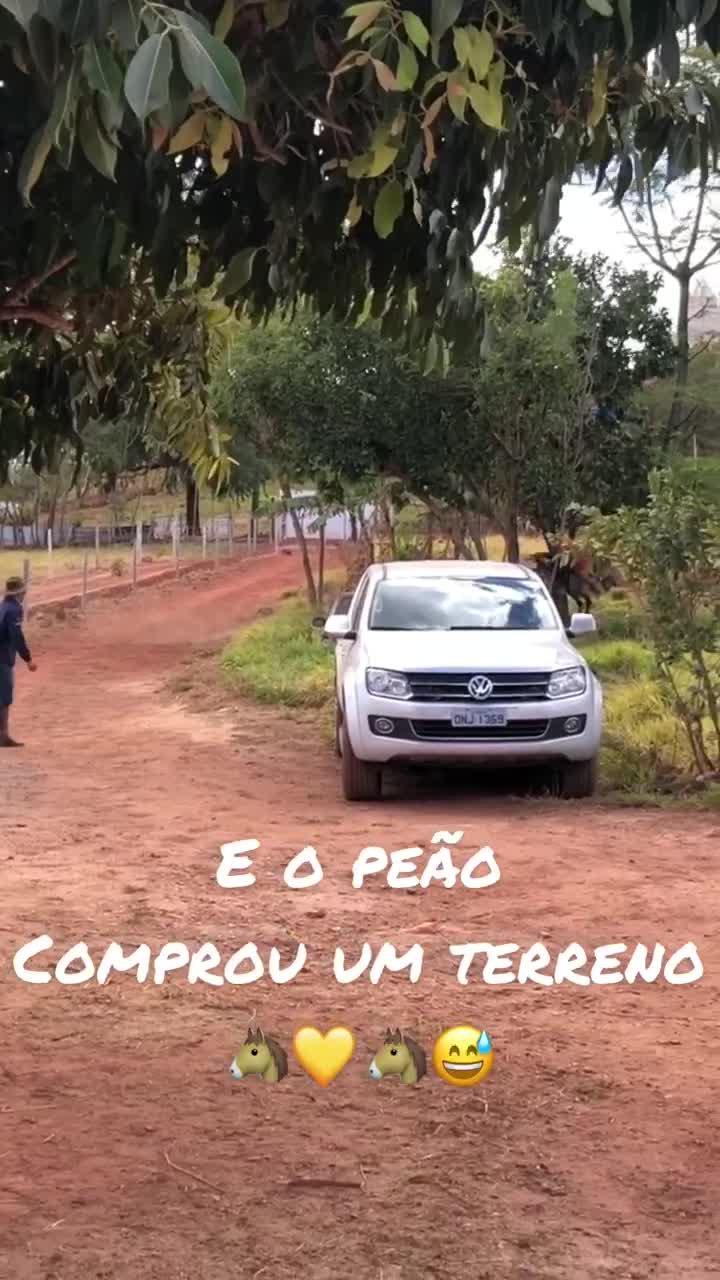 @Haras Z&eacute; Galego