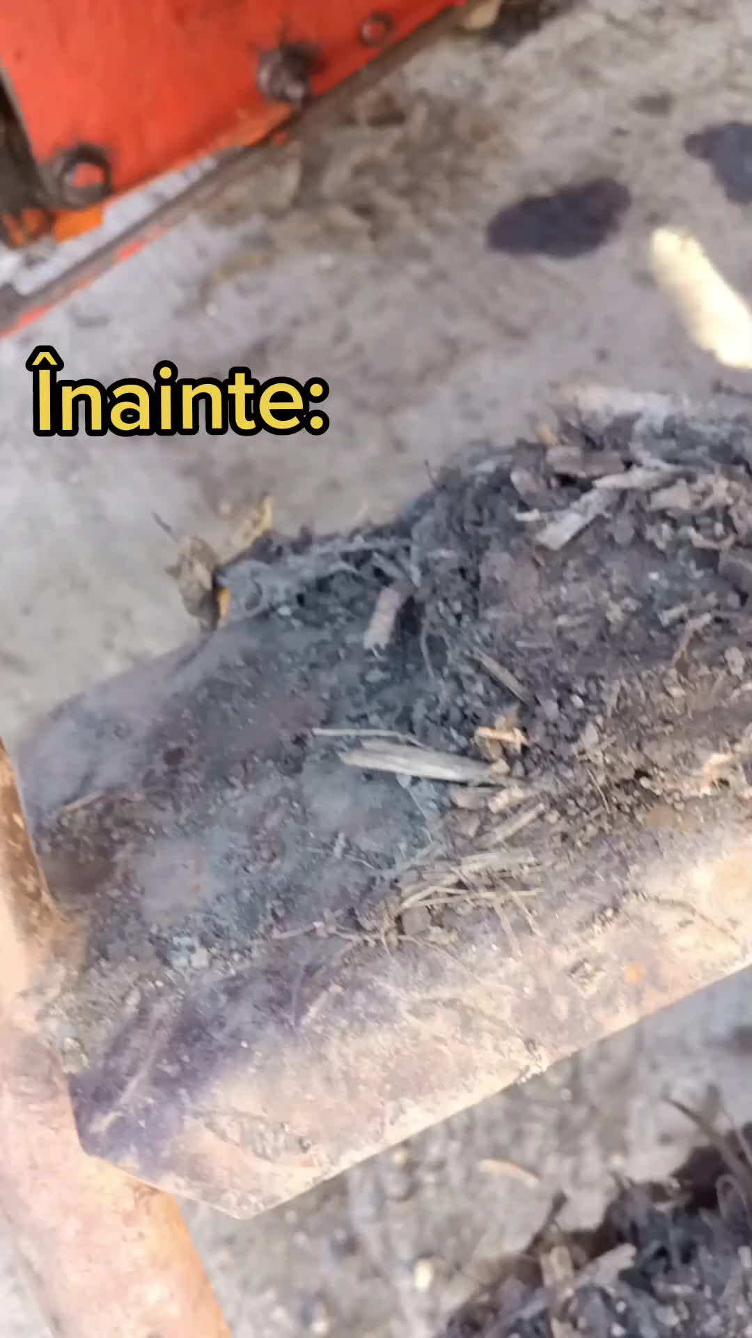 @๐ฉ๐๐á๐๐_๐ฉö๐ö๐๐๐๐