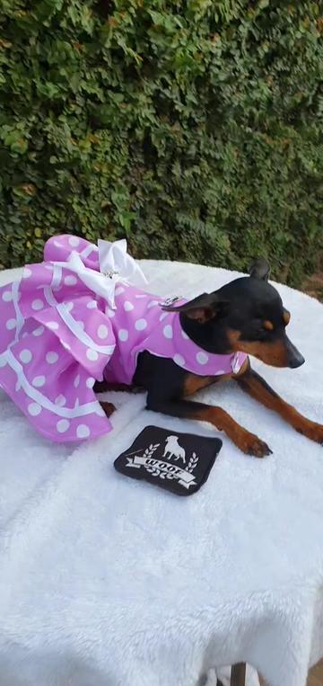 @Woof Bolivia