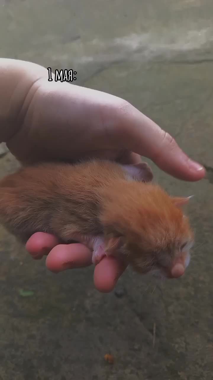 @💞Ты зайка🥰