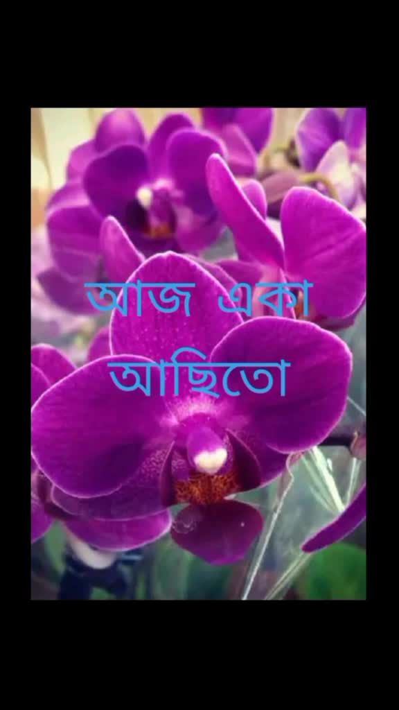 @gopal dash