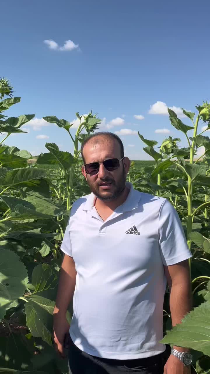 @AGROŞİMŞEK TARIM &Uuml;R&Uuml;NLERİ