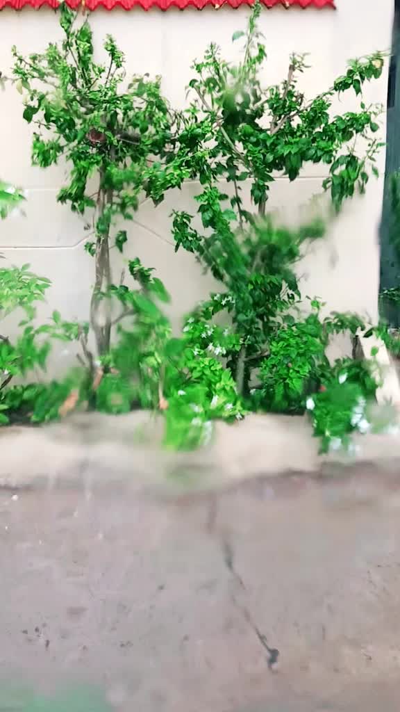 @Raju pp