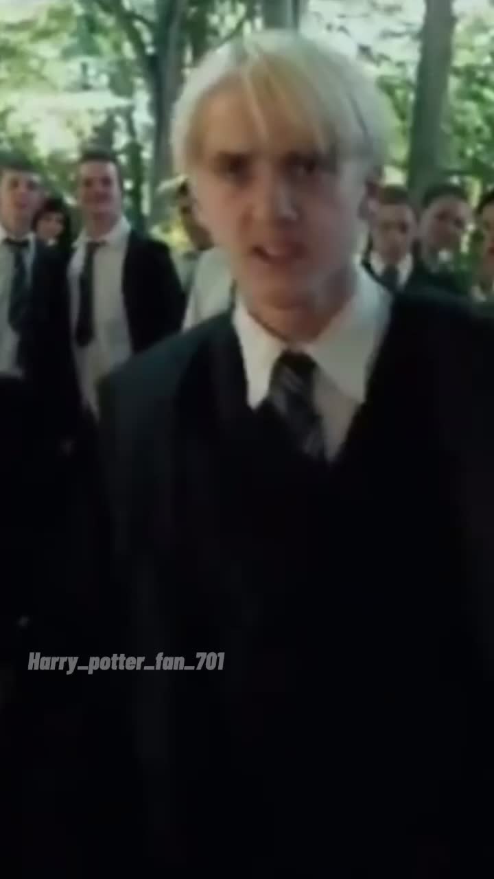 @🐍💚Harry Potter💚🐍