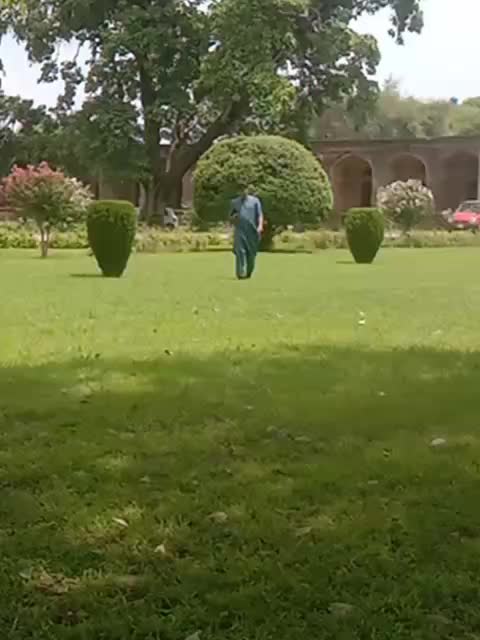 @dr.rana.asif