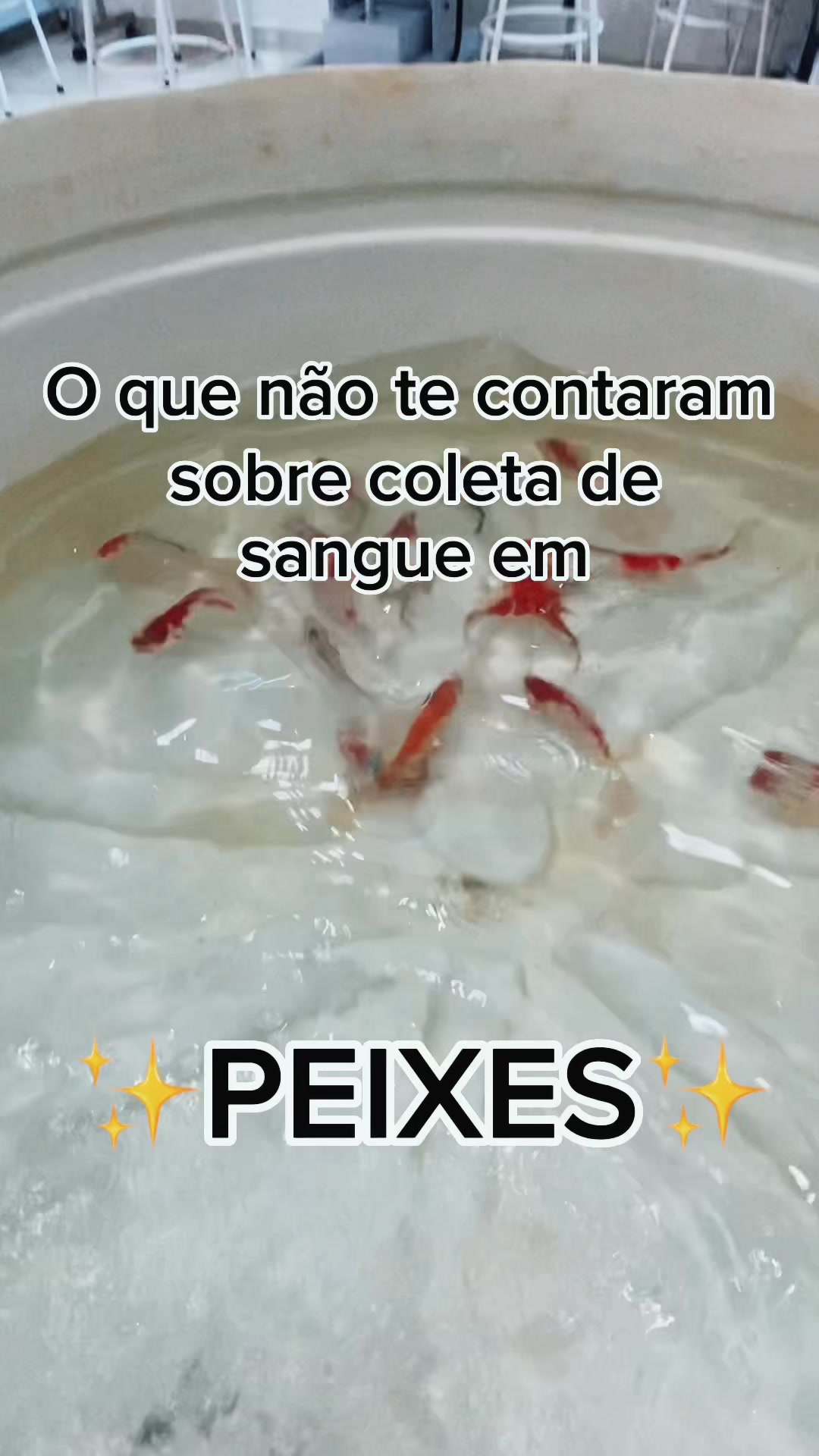 @Marcela Antunes