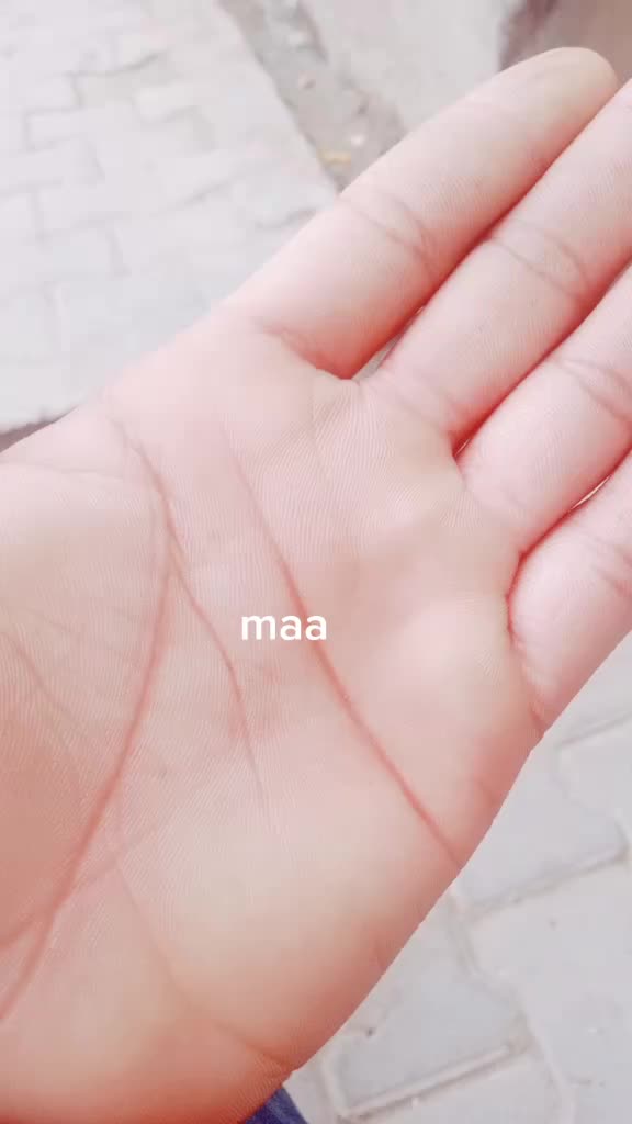 @user217790475517