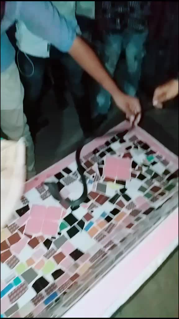 @મહાકાળી નો લાડકવાયો