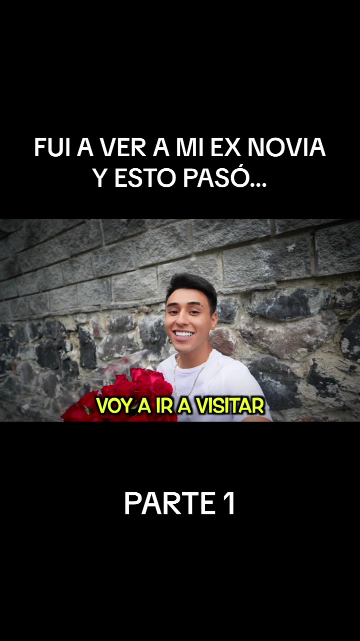 @lapizito